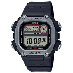 CASIO DW-291H-1AVDF