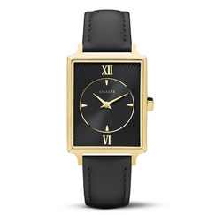 AMALYS AMW-133