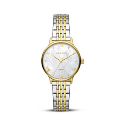 AMALYS AMW-218
