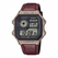 CASIO AE-1200WHL-5AVDF