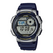CASIO AE-1000W-2AVDF
