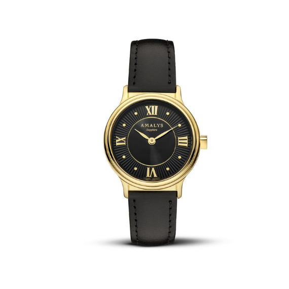 AMALYS AMW-170